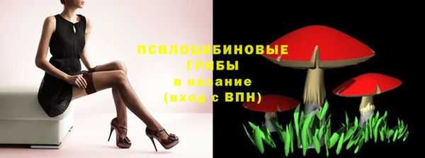 винт Майский