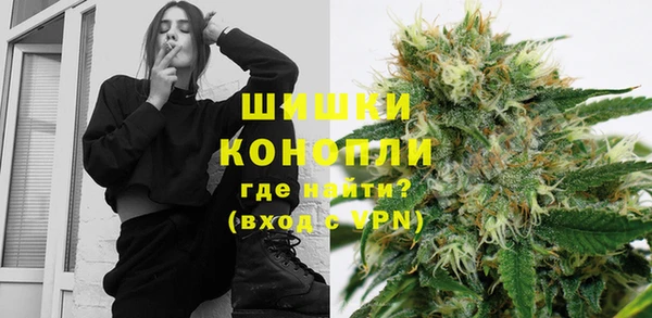 сатива Магас
