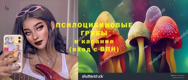 винт Майский