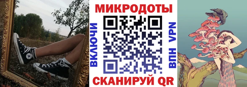 omg вход  что такое   Пятигорск  Галлюциногенные грибы Psilocybine cubensis 