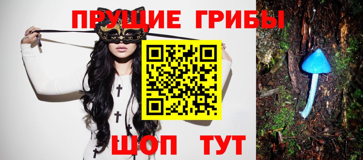 Пятигорск  Галлюциногенные грибы ЛСД  Вход с VPN 